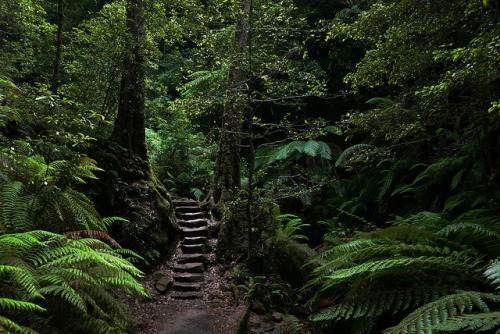 Neates Glen. by Thierry Ollivain on Flickr.