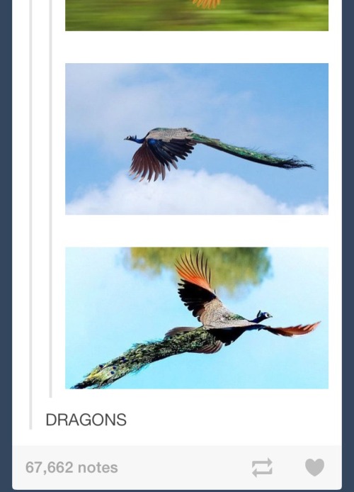 boyishgirls:leakinglavender:thefandomhouse:DRAGONS: a compilationpart 2/?part 1OMG!!I NEED THOSE GLO