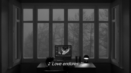 sesiondemadrugada:  24 Frames (Abbas Kiarostami, porn pictures