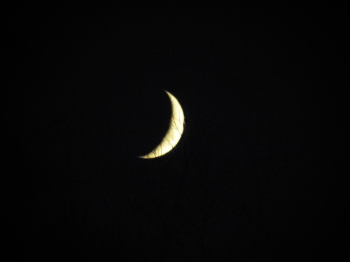 sweetseducingsighs:  The moon tonight, July 1st, 2014 by Allie 