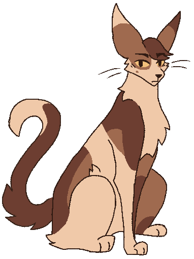 jayfeather warrior cats Thunder the Silkwing - Illustrations ART