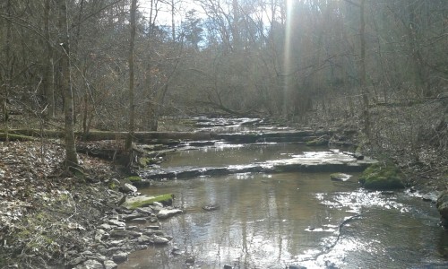 walking-to-mordor: Spent the day at my favorite, local nature sanctuary, Raven Run. It was a chilly,