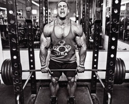 musclejake69:Evan Centopani