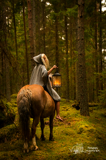 m-e-d-i-e-v-a-l-d-r-e-a-m-s: The enchanted forest, from Swedish folklore photographer Photographer V