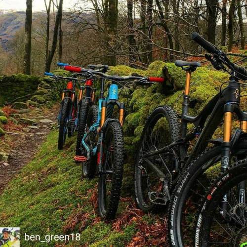 blog-pedalnorth-com: @Regrann from @ben_green18 - All of the ibis @ibiscycles @biketreksltd have the