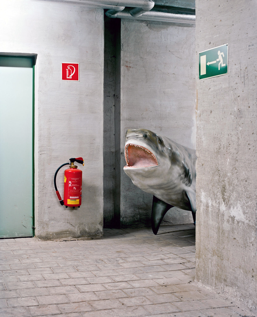 likeafieldmouse:  Klaus Pichler - Skeletons in the Closet: Museum of Natural History,