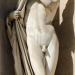 ganymedesrocks:salomi:NarcissusIn Greek mythology, Narcissus (Ancient Greek: Νάρκισσος) was a hunter from Thespiae in Boeotia who was known for his beauty. According to Tzetzes, he was a Laconian hunter who loved everything beautiful. Narcissus