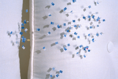 Gingham Series. Indigo Som. Installation. 1998.Indigo Som (b. 1966) is an Asian American photog