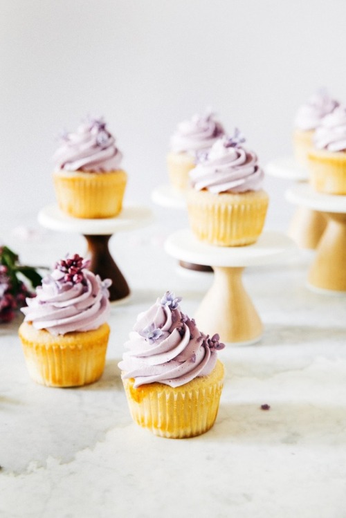 guardians-of-the-food:Ginger Almond Cupcakes with Lilac Buttercream Frosting