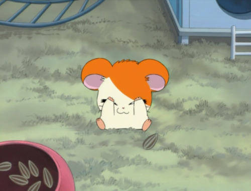 8111fhamtaro: 照れるハム太郎可愛すぎる