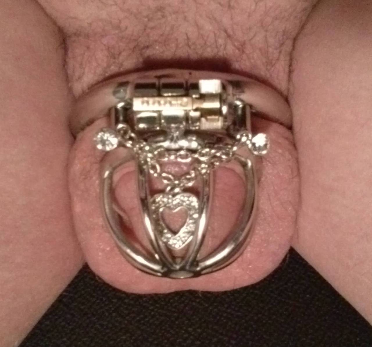 justcaged: tkellississydesires: Thought I would post a few pictures of my little