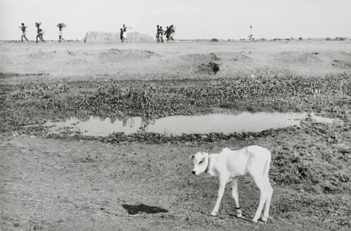 Jyoti Bhatt.  Karnataka, 1987/1988. 