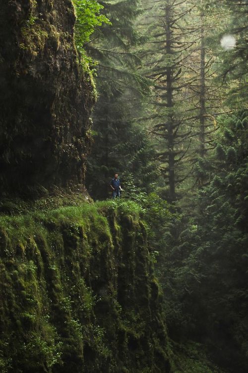goddess-river:decepticun:Eagle Creek Trail, Oregon | by Chris Ebarb☽ ⁎ ˚ *&