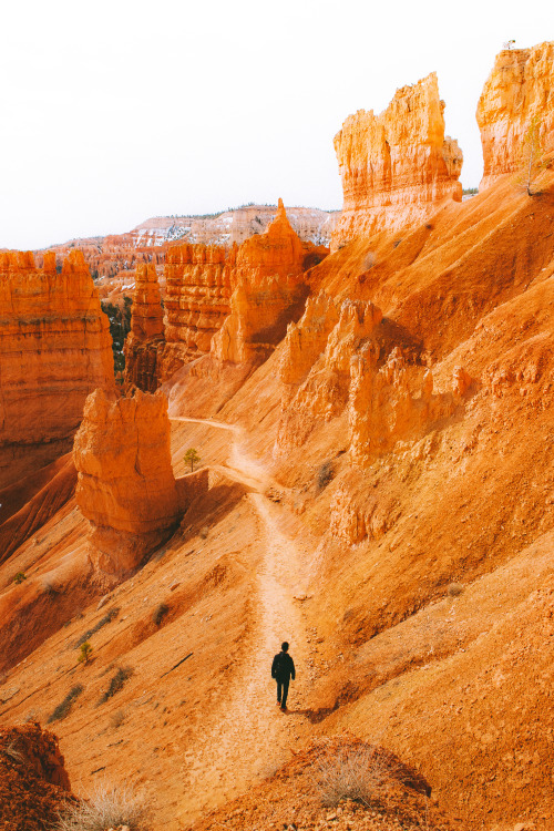 Bryce Canyon, Utah by Jeremiah Probodanu(IG: @thecraziethewizard)