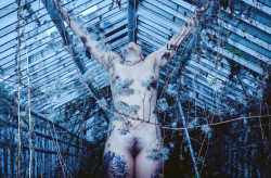 discordant23:  http://discordant23.tumblr.com/Unaspected sunday shooting at an abandoned green house.Model: Leslie