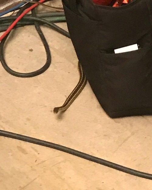 brentweichsel:I can’t trust my fucking department. Fucking snakes the lot of them.(at New York, New 