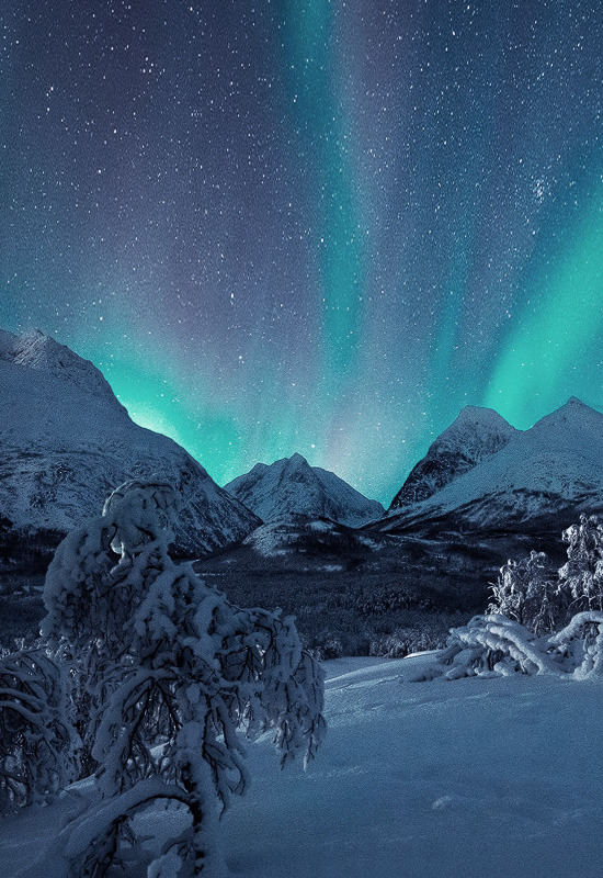 theencompassingworld:  johnnybravo20:The Arctic Show (by Stefan Hefele)  The World
