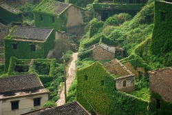 fuckyeahchinesefashion:  ponderation:  Zhoushan by   唐 宇宏    An abandoned village in Zhoushan, Zhejiang province of China has been taken over by nature. 