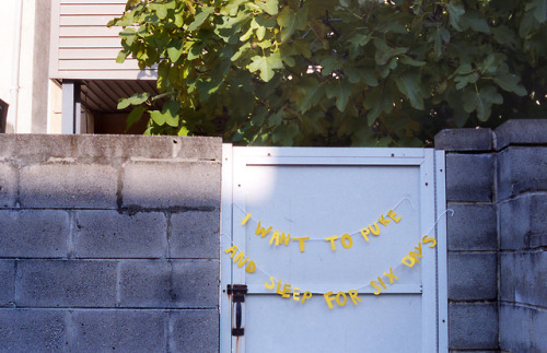 annamakesthings: things i told the internet, but didn’t tell my mom35mm film scanssome picture