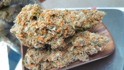 royallyoily:  Green Crack 24.99% THC tested