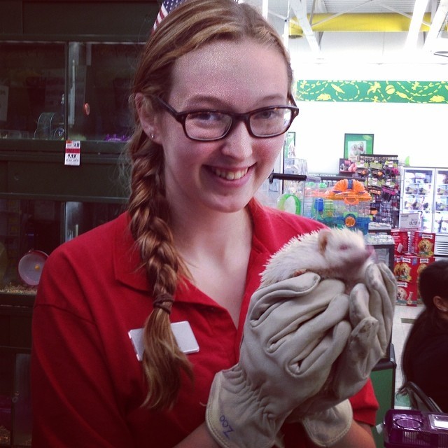 Holding the African hedgehog from the Seneca park zoo! This is ice. Went with the zoo mobile to the pet supplies plus today to show some animals!! I love being a zoo teen leader. I get to hold so many cool animals!!! #cool #hedgehog #zooteenleader...