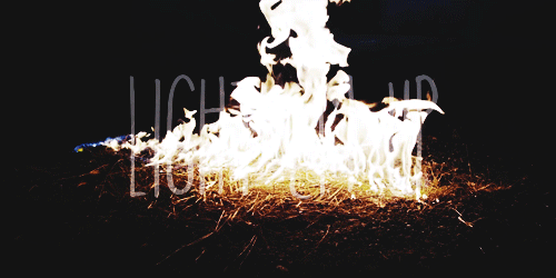 tumblr_mhv14pmMj41r7uvpzo1_500.gif