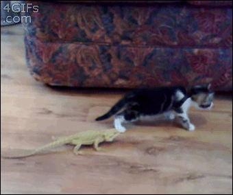 Surprise!