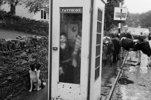 secretcinema1:Kenmare Fair, 1982, Martin Parr