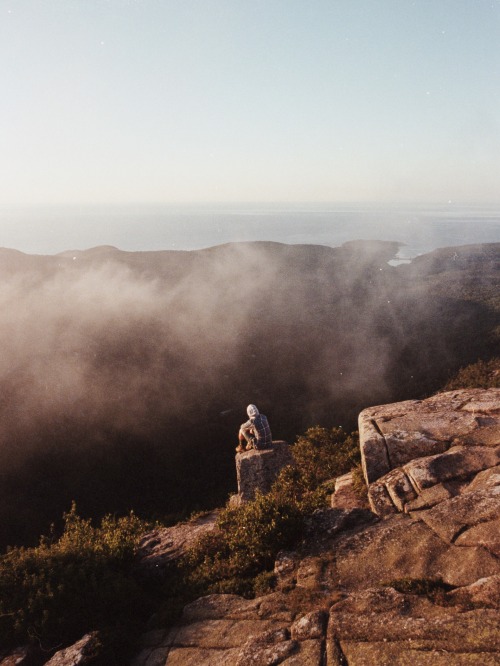 christianborger: Acadia to Allston / August ‘15 to February ‘16 on a roll of Portra 400