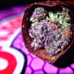 letssmokeloud:  Always dank weedporn by macromob420! Visit LetsSmokeLoud.com for dank weed pics!