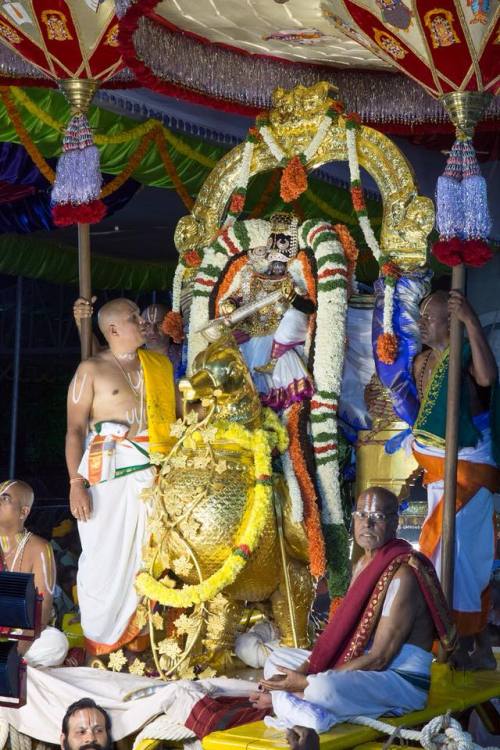 Bharmotsava festival at Tirumala , Sri Venkateswara Hamsa Vahana, as Vidhyalakshmi.