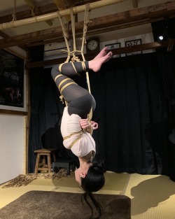 thevertigonetwork:   Kinbaku &amp; Photo Naka AkiraModel Shizuki Iroha