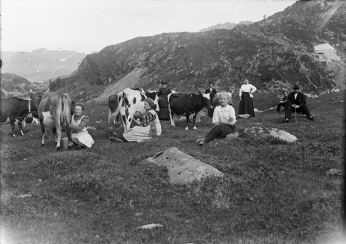 Dairymaids milking the cattle on a mountain farm in Askvoll, Sogn og FjordanePhoto by Paul Stang