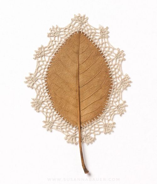 unsubconscious:Susanna Bauer, ‘Lace Border ll’Magnolia leaf, cotton thread23 x 19 cmPhoto by Art Pho