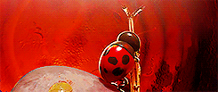 aryanstark:  You see Hopper, Nature has a certain order. The ants pick the food,
