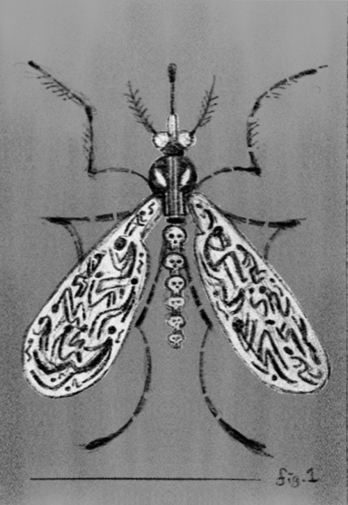 Once BittenVicto NgaiLatest for VQR on the deadly Aedes aegypti mosquitoes, culprit of spreading den