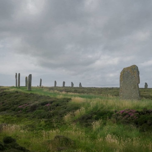 Ring of Brodgar #backpacking #solotravel #solotraveler #wanderlust #fernweh #adventure #scotland #sc