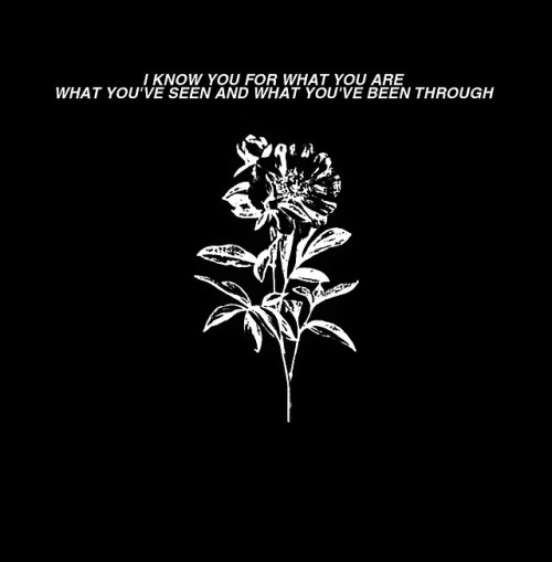 Shade // Trash Boat