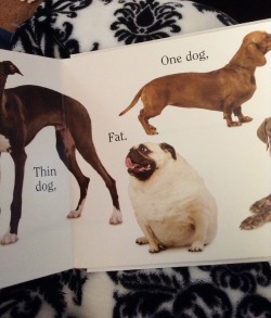 Belovefreeindeed:  I’m Reading A Book To The Toddler And It’s Describing Dogs.