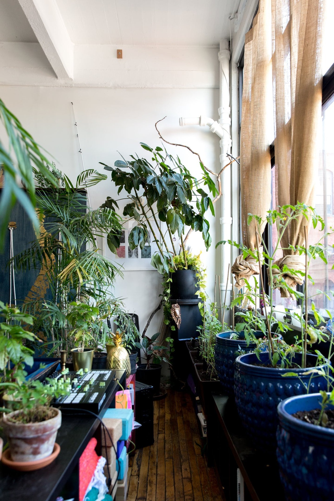 gravityhome:  Plant-filled loft in Brooklyn | photos by Minette Hand  Follow Gravity