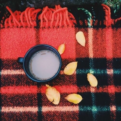 cozyinautumn:  Everything Autumn Plaid 🍂🍁
