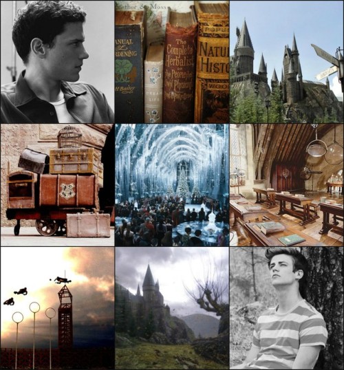 nixie-deangel:  For @heartless241, who asked for Coldflash Harry Potter AU, with Hufflepuff Barry.  