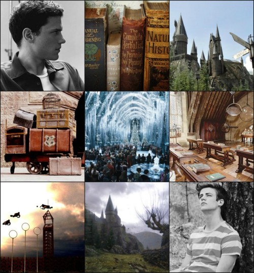 nixie-deangel:For @heartless241, who asked for Coldflash Harry Potter AU, with Hufflepuff Barry.