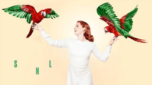 dailyactress:  Amy Adams on SNL 