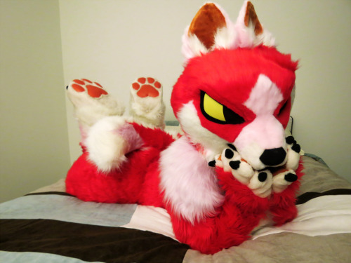 Moji!All my teeth just fell right out from how cute this suiter is guhhhwow <3