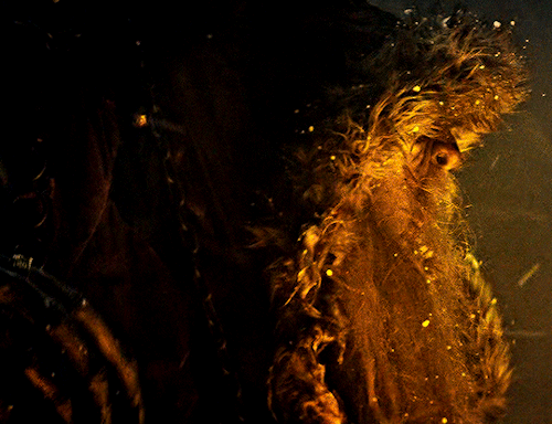 KRAMPUS Dir. Michael Dougherty (2015)