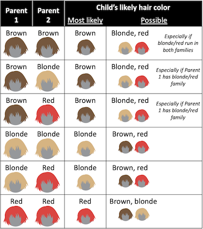 Haarkleur baby; tips voorspellen welke kleur je kind krijgt - Mamaliefde