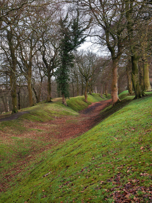 Antonine Wall, Watling Lodge Section, Falkirk, Scotland, 10.2.18.I’m drawn to the site of the Antoni