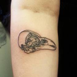 Raven skull on Eowyn.  Sat like a rock.  Thank you!   #ravenskull #raven #tattoo #chelsea #linework #apprentice #apprenticetattoo  (at Raven&rsquo;s Eye Ink)