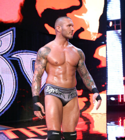 fishbulbsuplex:  Randy Orton